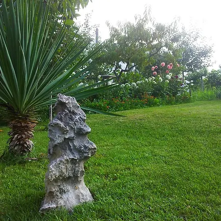 каза роза - Swiss Style Casa Rosa Vila Kjustendil