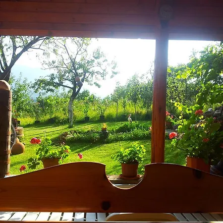 каза роза - Swiss Style Casa Rosa *