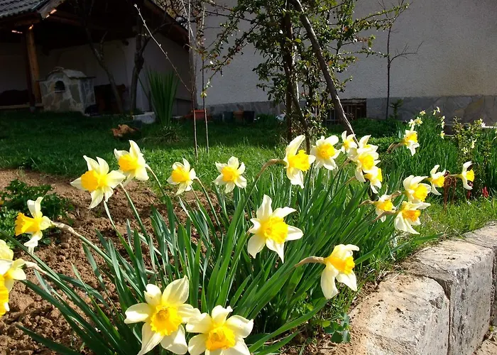 каза роза - Swiss Style Casa Rosa *